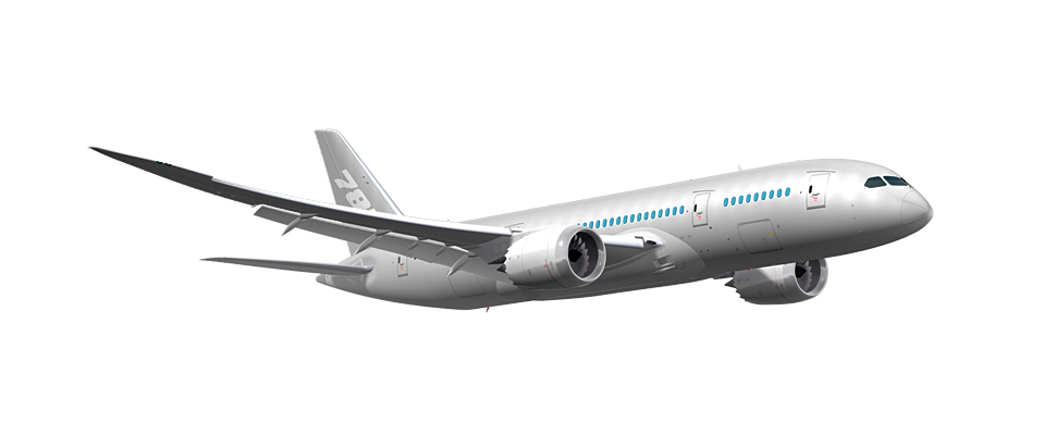 Avion en vol – Ziara-Sahla