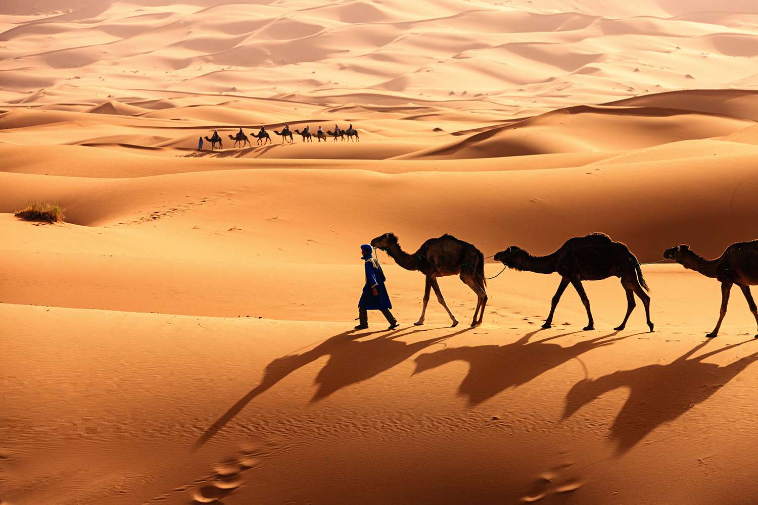 Grand Erg Oriental – Sahara algérien